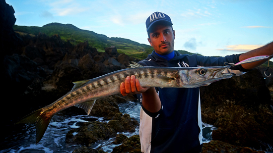 DUO Mediterranean - What is you biggest barracuda ever caught? What is your  favorite lure for catching them? Feel free to comment