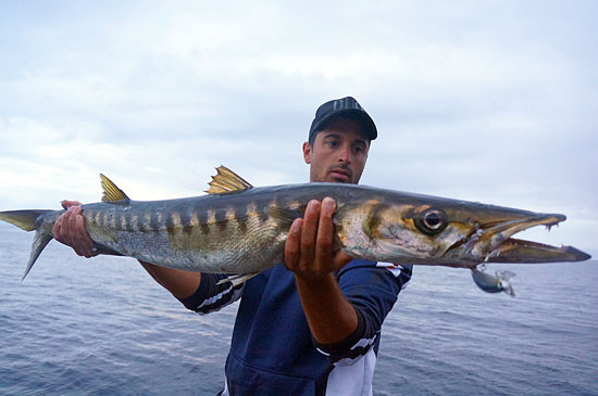 Shore Jigging for Barracudas –