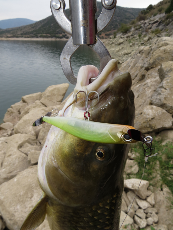 markosspinbait3