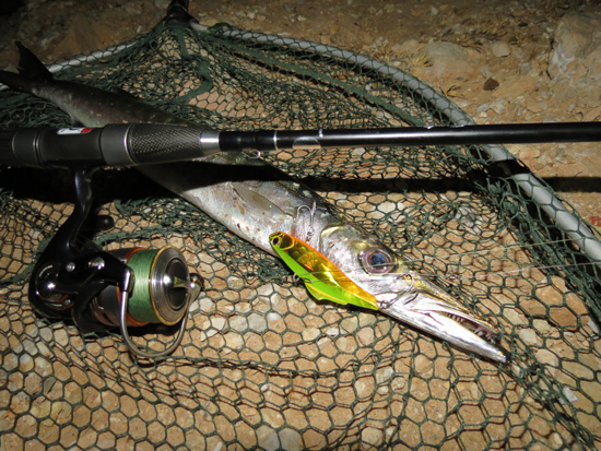 How To Catch Barracuda Fish  Best Lure for Barracuda Fish