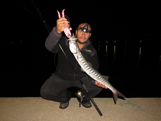 markosvidalis-barracuda-spinbait2