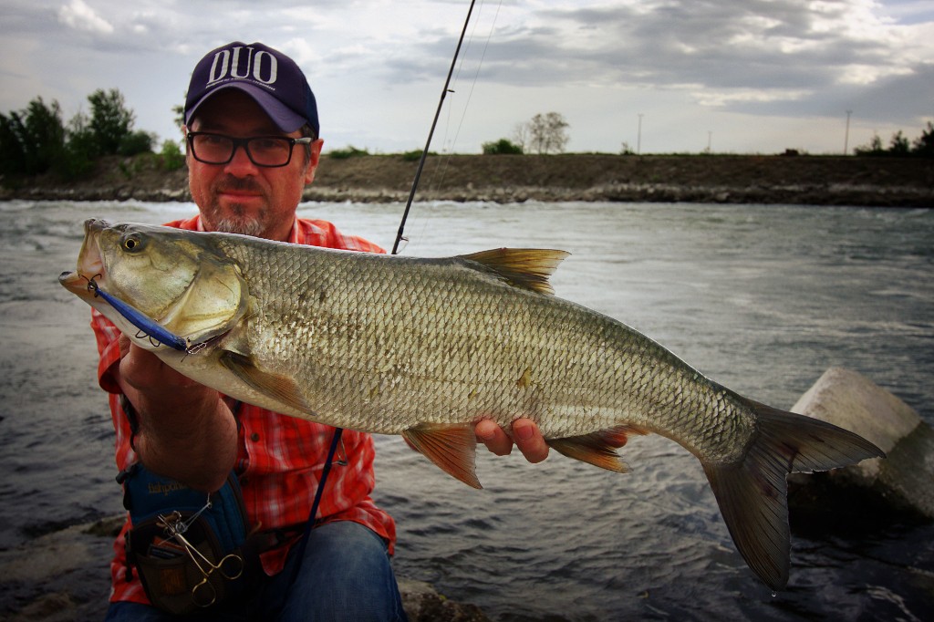 Family of Fish Fishing Lure