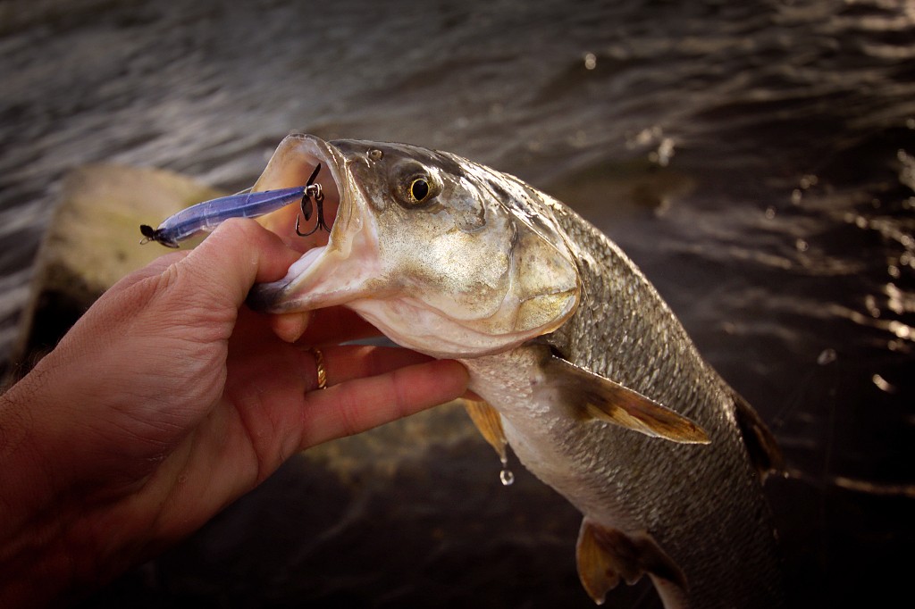  Pencil Sinking Lure Weight 10-24g Bass Fishing