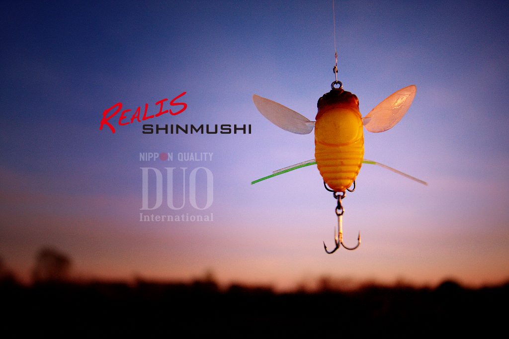 shinmushi1w