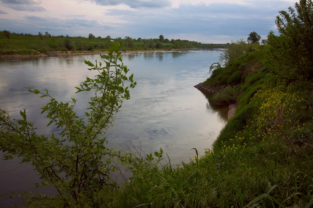 this-is-the-place-on-the-river-where-you-can-expect-chub