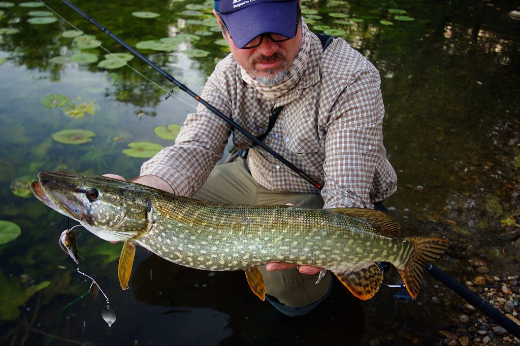 Fishing In Croatia: Early spring bass fishing with DUO International  Jerkbait lures