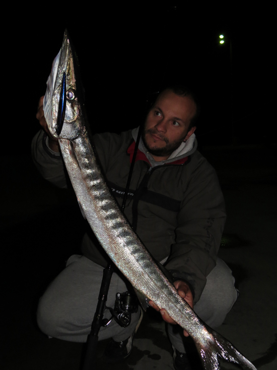 Barracuda Fishing Tips and Tactics