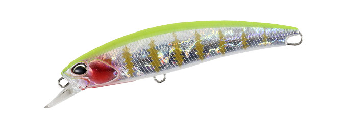 floating lure for Papuan Bass 120mm 4.72" DUO Realis Fangbait 120 SR 25,8g