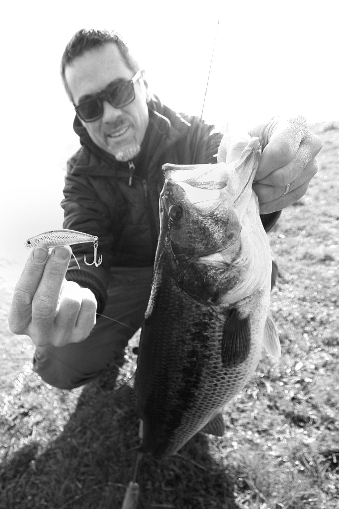 Even it is not suspended, with slowly sinking action Tide minnow sprint 75 is a good choice for lazy fat bass in a spring