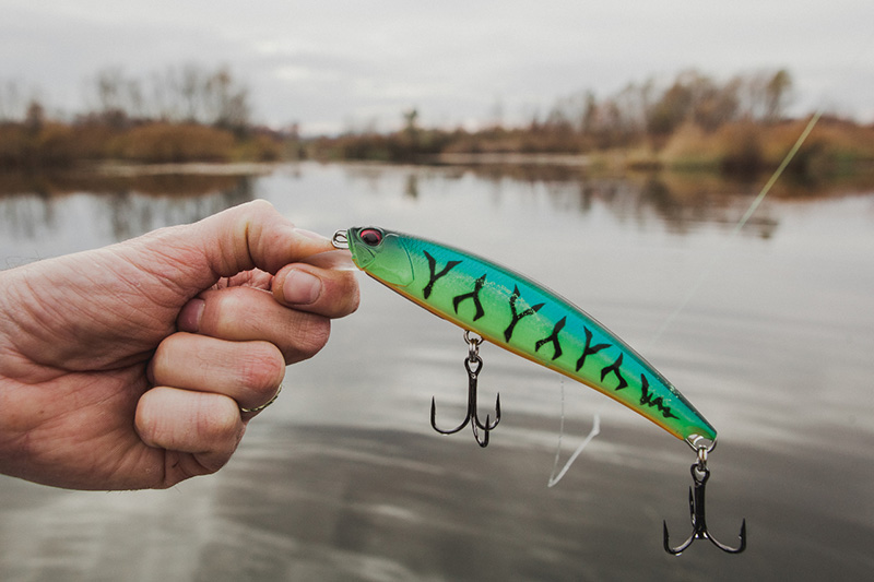 Fangbait 140 SR Pike Limited in Fang Tiger colour