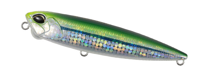 DUO Topwater Walk The Dog Floating Lure Realis PENCIL 65 SW Limited 